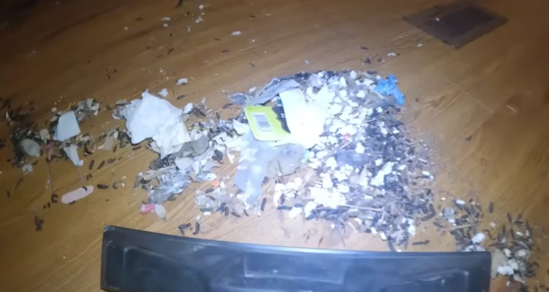 Rodent Control for Airbnb 2 Rodent droppings and debris found inside a Truckee Airbnb