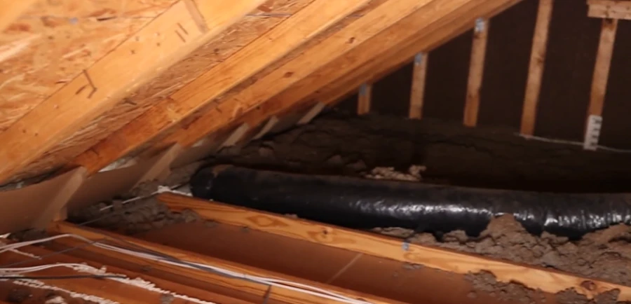 Home 6 Attic ductwork and insulation affected by rodent activity